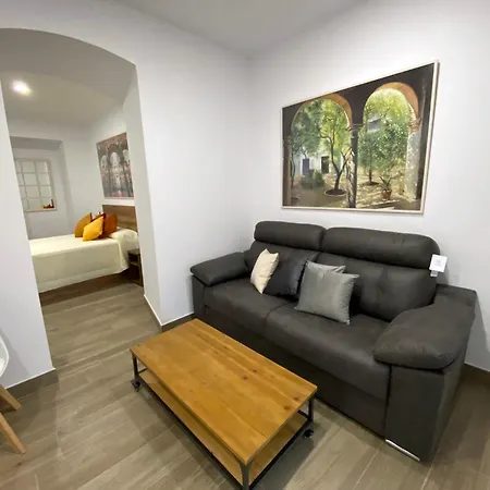 Appartement Del Mar Y De - Apartmentos En Pleno Centro Cordoue